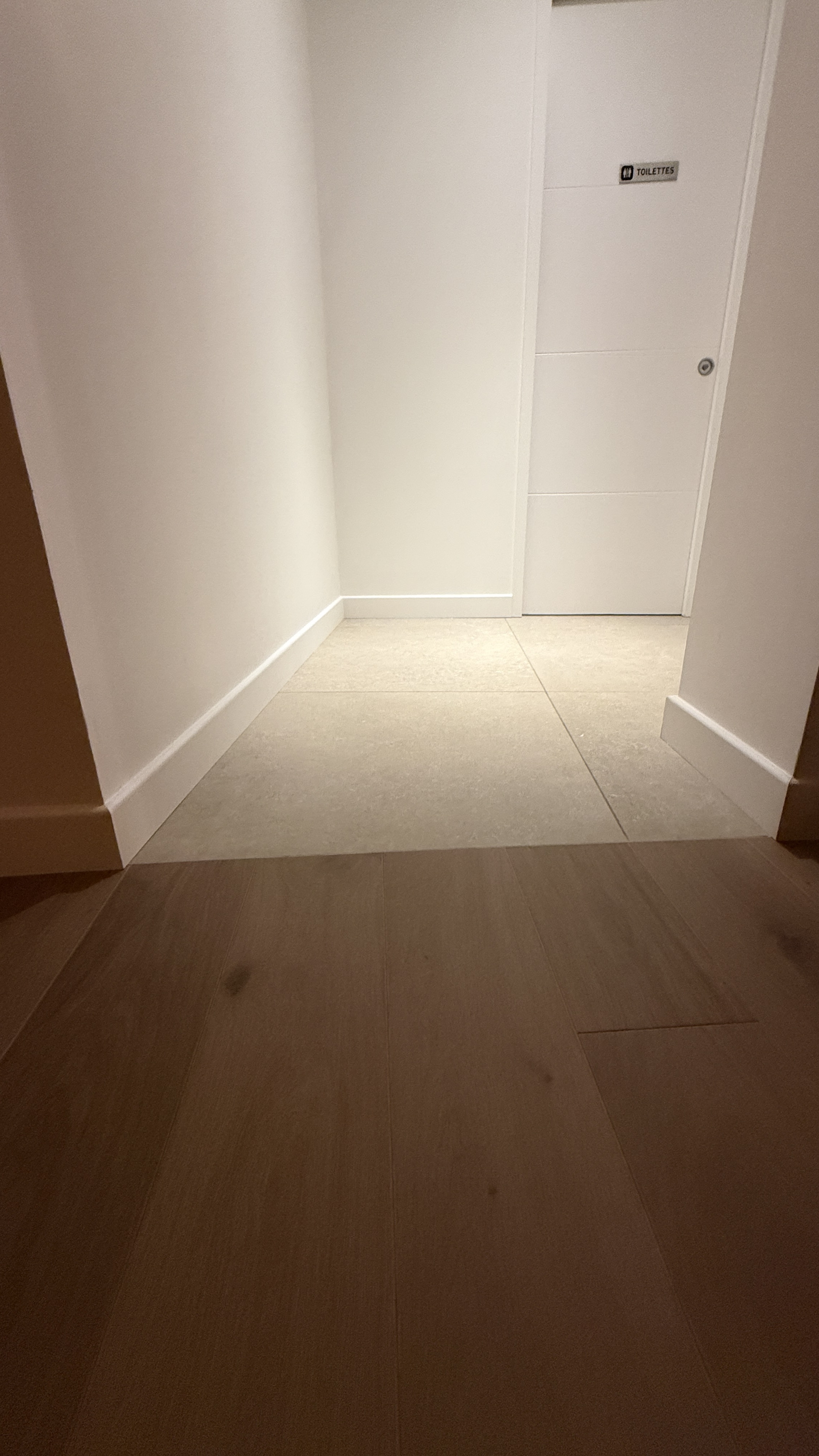 jonction invisible carrelage et parquet entrée -salle